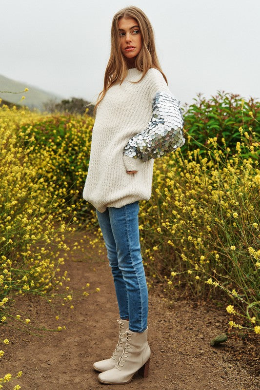 SELVIA SEQUIN SLEEVES SWEATER KNIT SWEATER