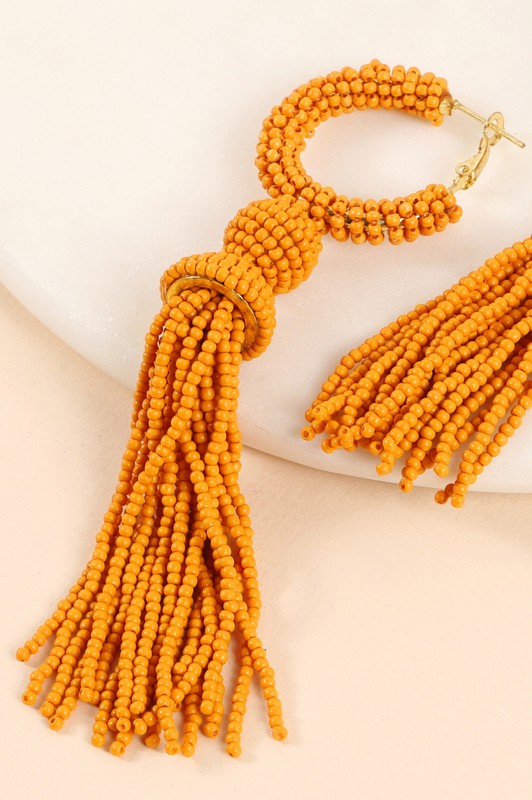 Seed Beads Round Tassels Dangling Earrings
